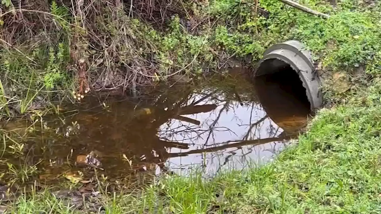 Environmental advocates call on EPA to speed up cleaning process at toxic site in northwest Houston