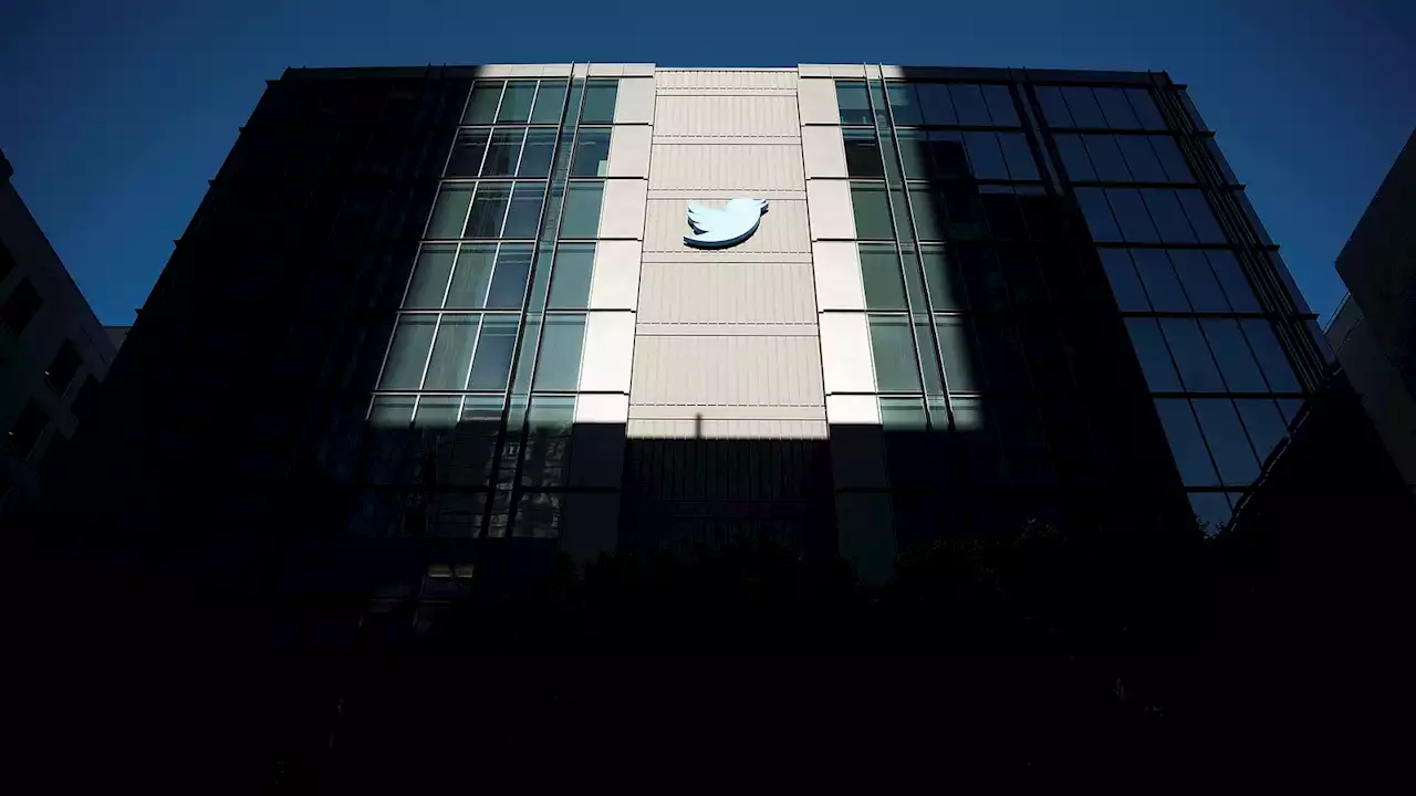 Twitter API: Why users are upset about the platform's latest change