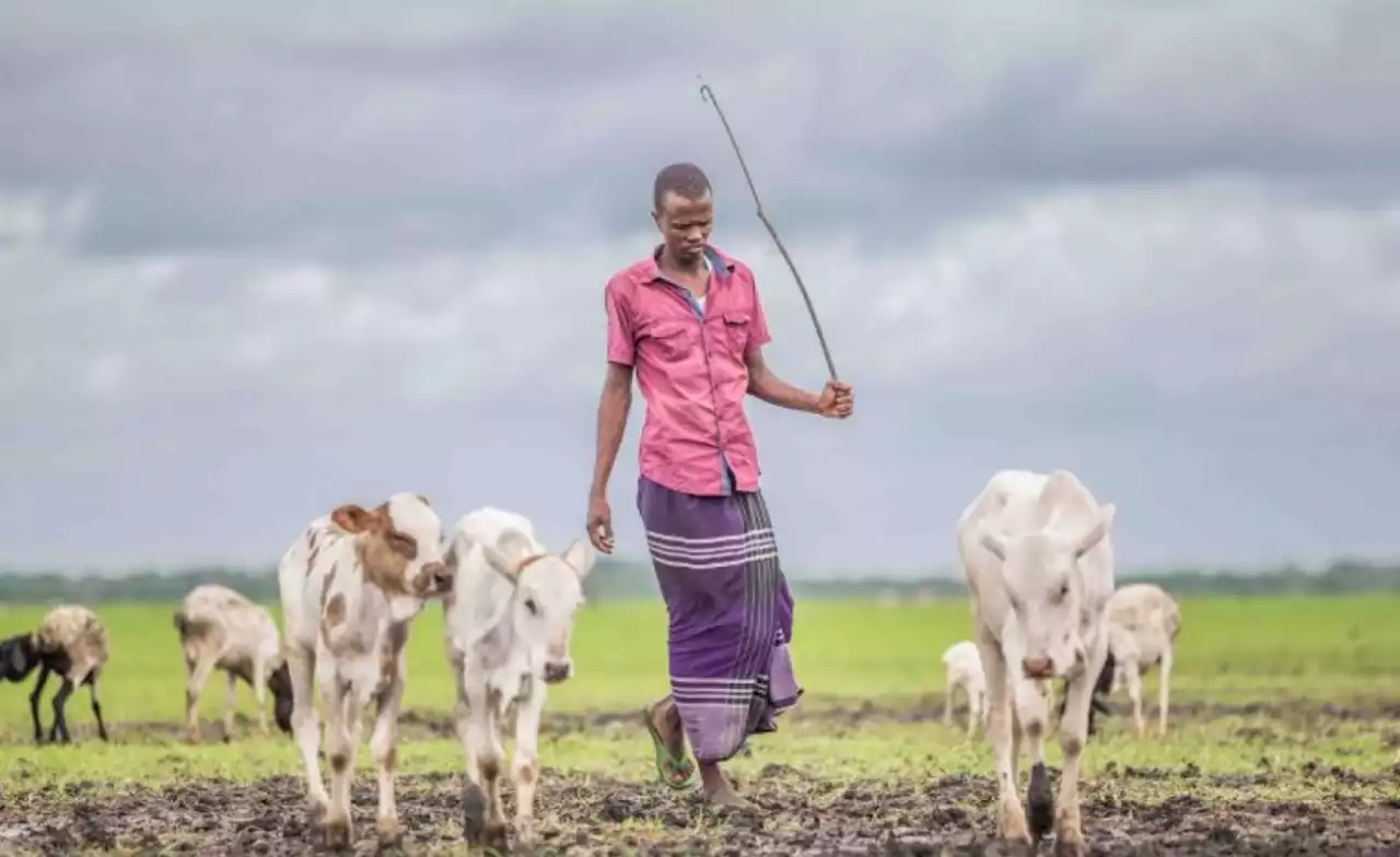 Will New 'Peacemaking Covenant' Offer Path to Sustainable Peace?