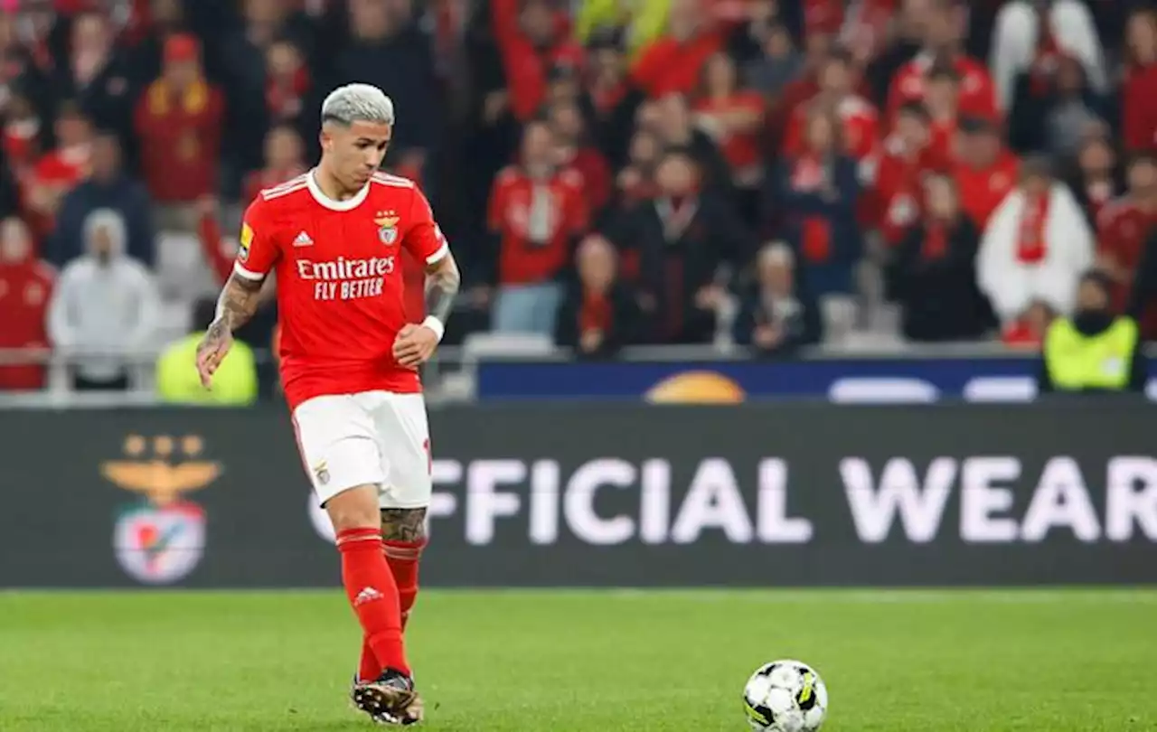 Benfica Lisbonne : Rui Costa pas du tout tendre avec Enzo Fernandez après son départ pour Chelsea