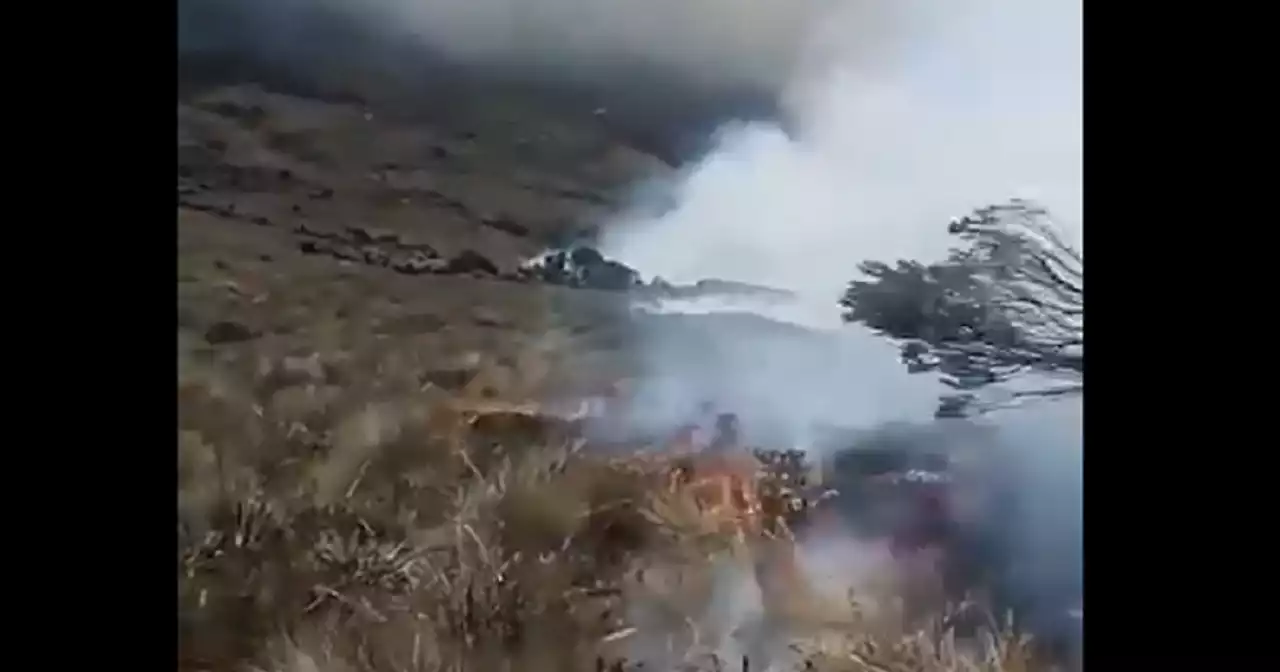 Grave incendio destruyó parte del páramo Almorzadero y quemó miles de frailejones: “es un desastre”