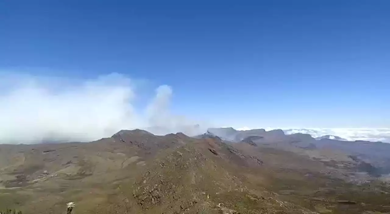 Grave incendio destruyó parte del páramo Almorzadero y quemó miles de frailejones