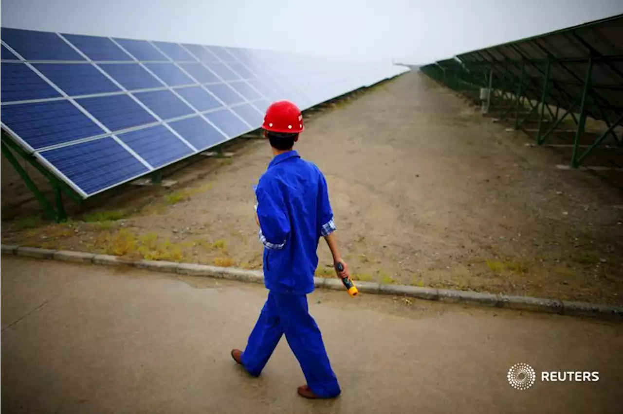 China ban would slow, not halt, Western solar push