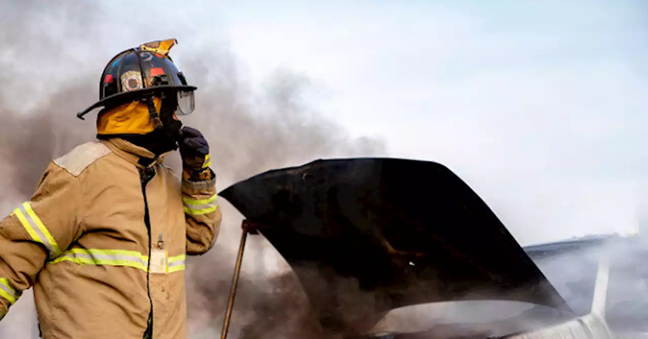 California Amazon Driver Helps Save Dog from Burning Car