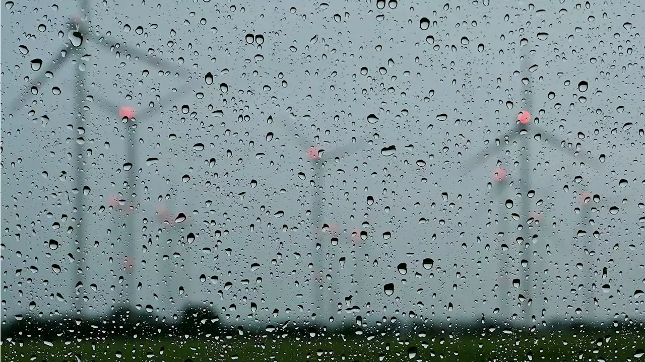 Sturm sorgt für Störungen im Verkehr – Bäume umgestürzt