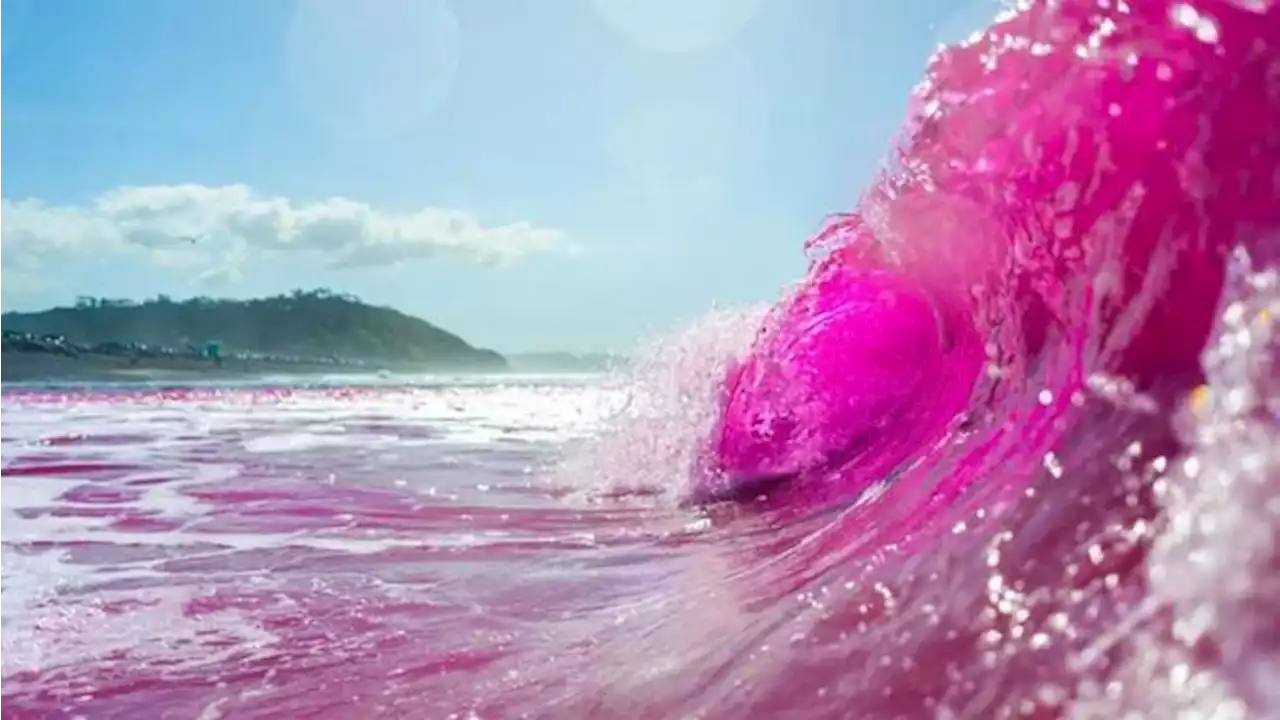 Ombak di Pantai Amerika Mendadak Berubah Jadi Pink, Ada Apa?