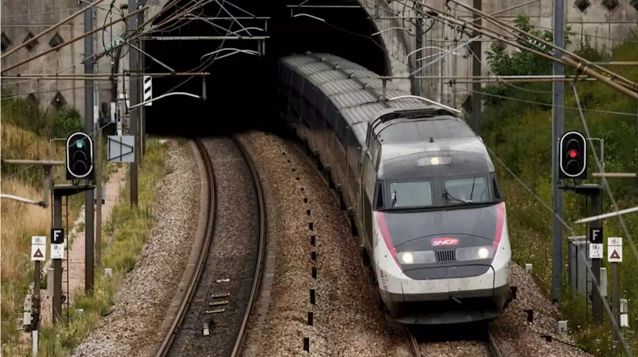 Menace d'attentat : un TGV Colmar-Paris immobilisé, un individu menaçant interpellé