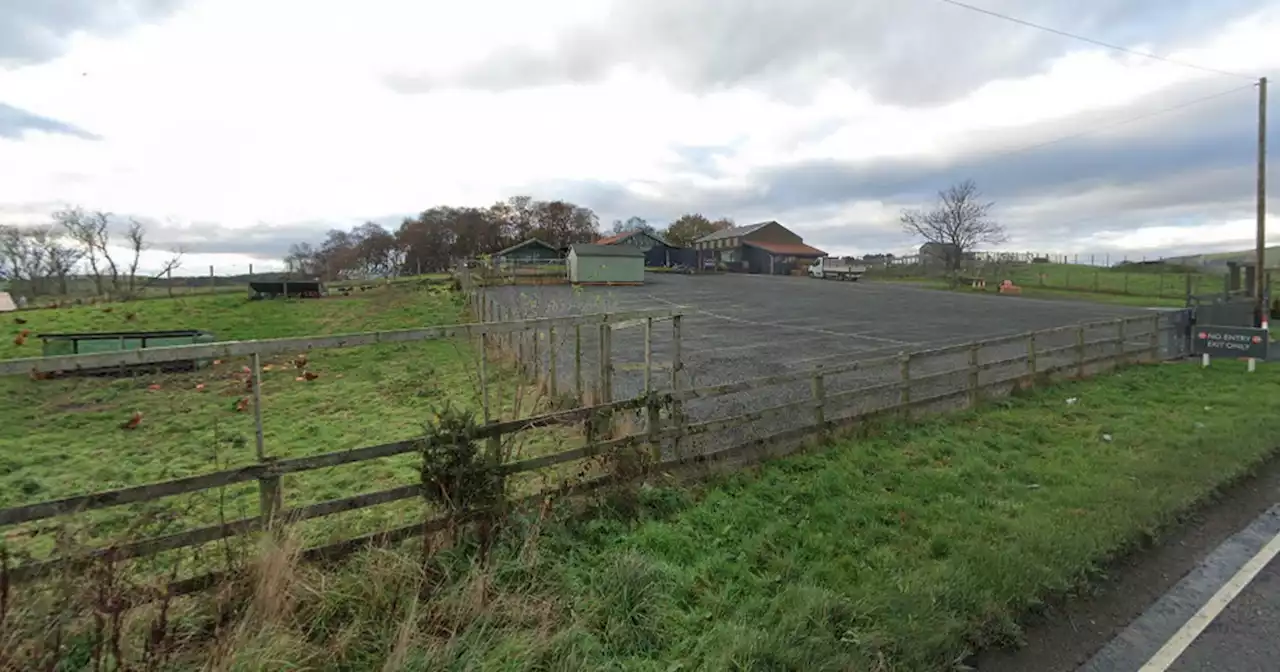 Bird flu outbreak found at Scots poultry farm sparking 3km lockdown