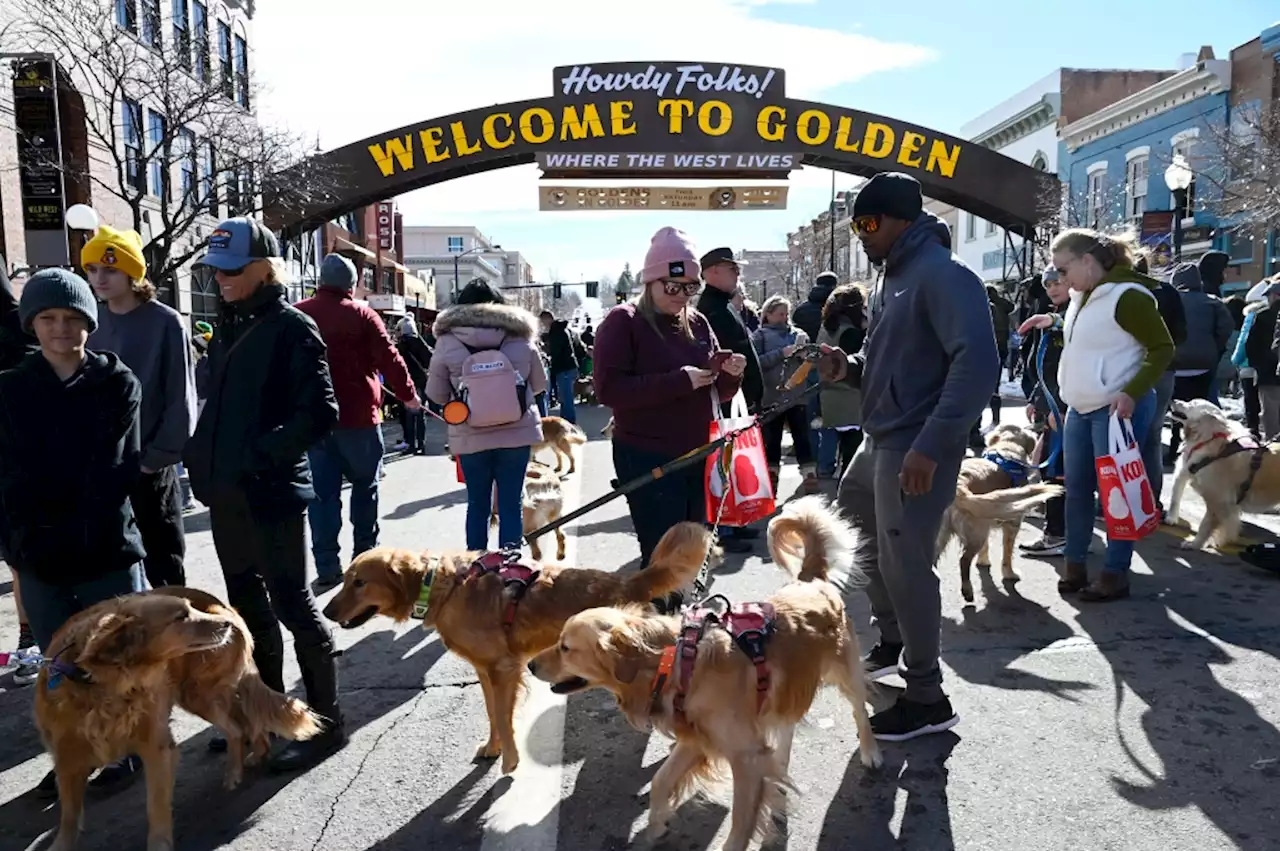 Things to do in Denver this weekend include stout month, a golden retriever party