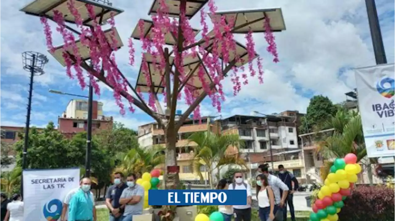 Ibagué: la jornada del ‘Día sin carro y sin moto’ será el 8 de febrero