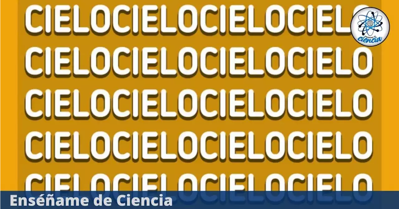 Averigua dónde está la palabra “HIELO”; Solo el 15% superó el reto visual del día de hoy