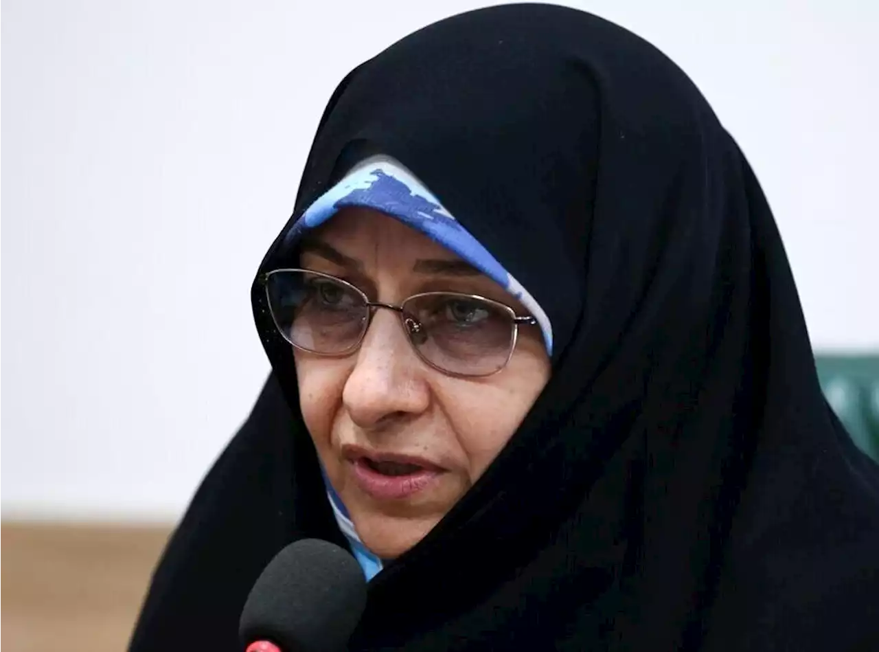 لوایح موضوع «حضانت و اهدای جنین» در حال نهایی شدن است