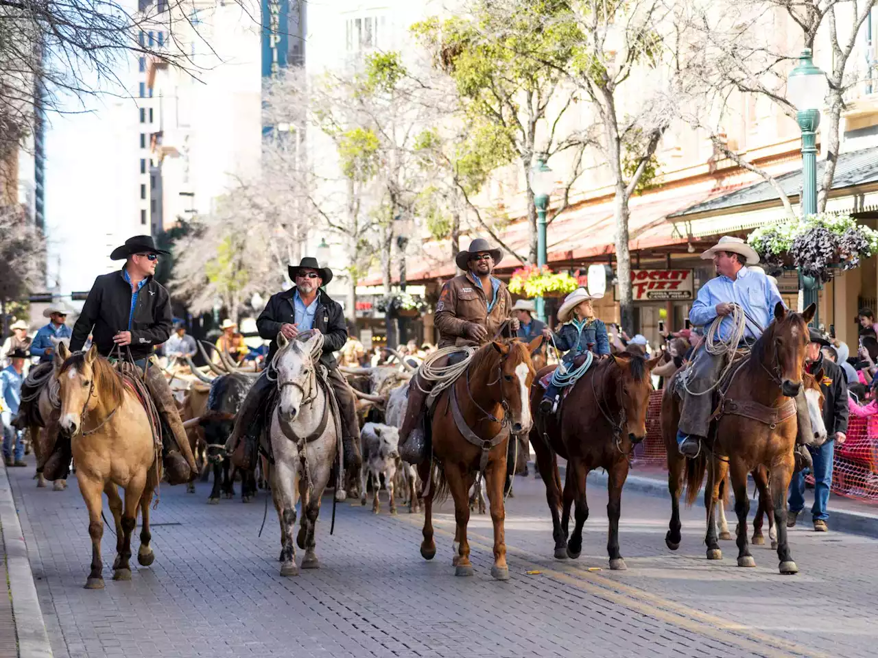 Longhorn stampede headed to downtown San Antonio