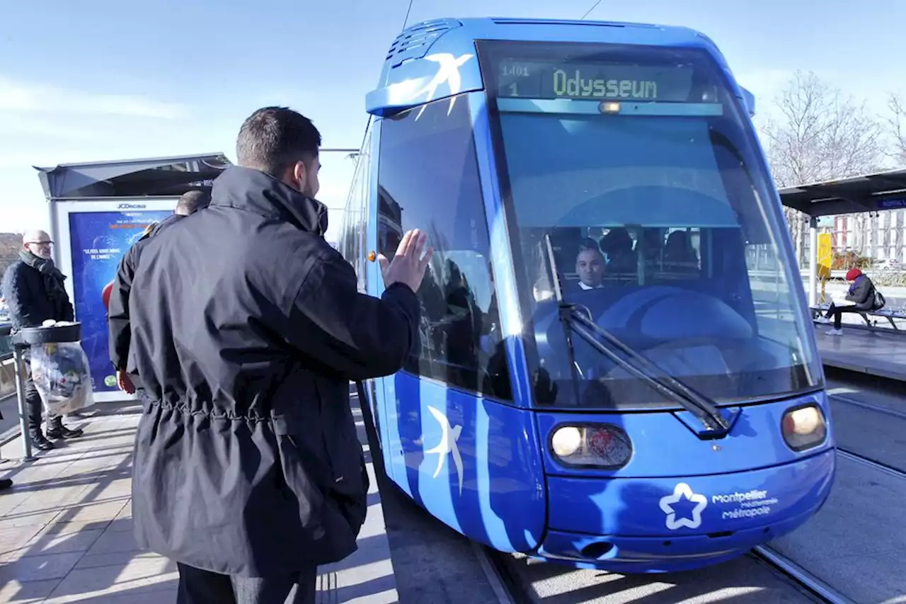 Gratuité des transports à Montpellier : l’opposition craint une “dégradation de la qualité de l’offre”