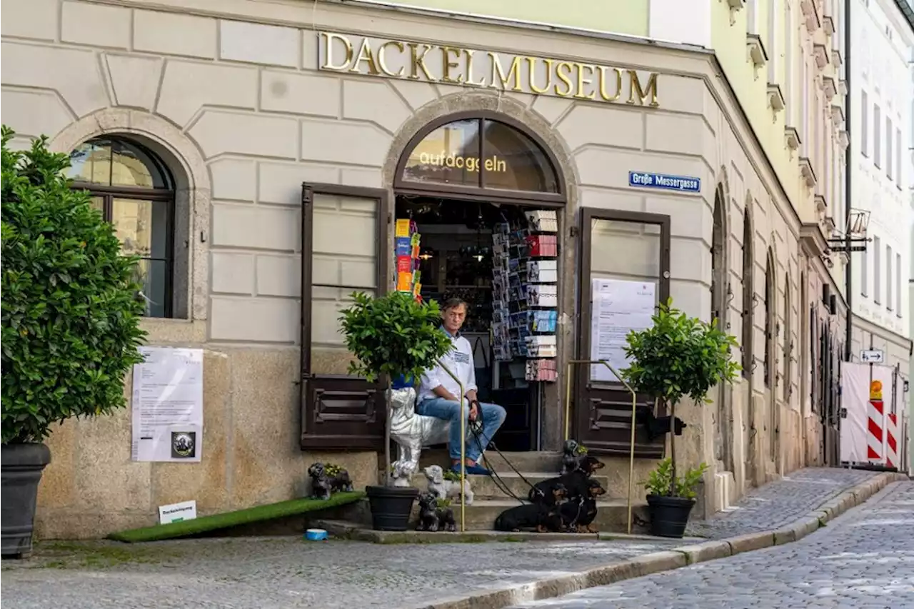 Zum 2. April: Passauer Dackelmuseum zieht um - Neustart in Regensburg - idowa