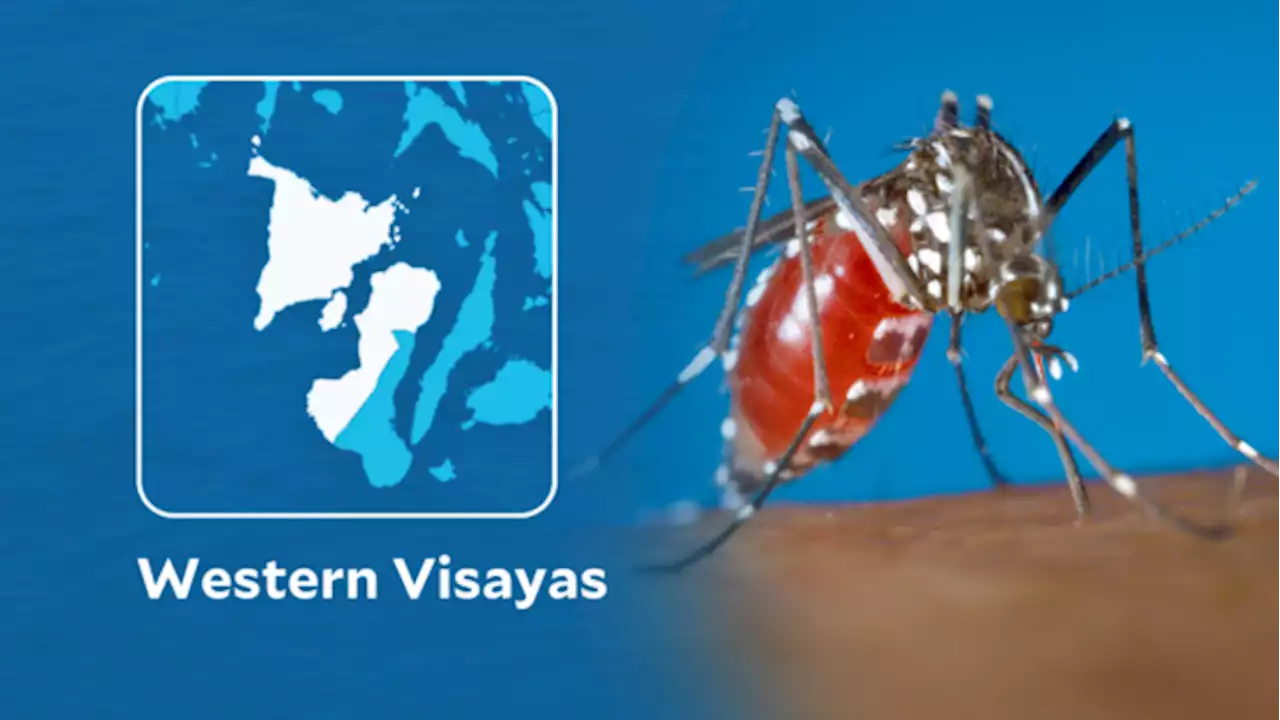 Western Visayas reports 1st dengue fatality in 2023