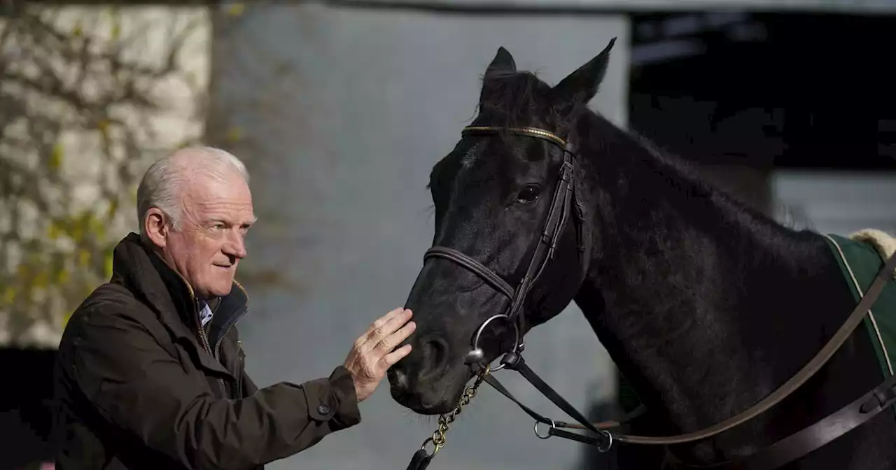 Willie Mullins in dominant position ahead of Dublin Racing Festival action