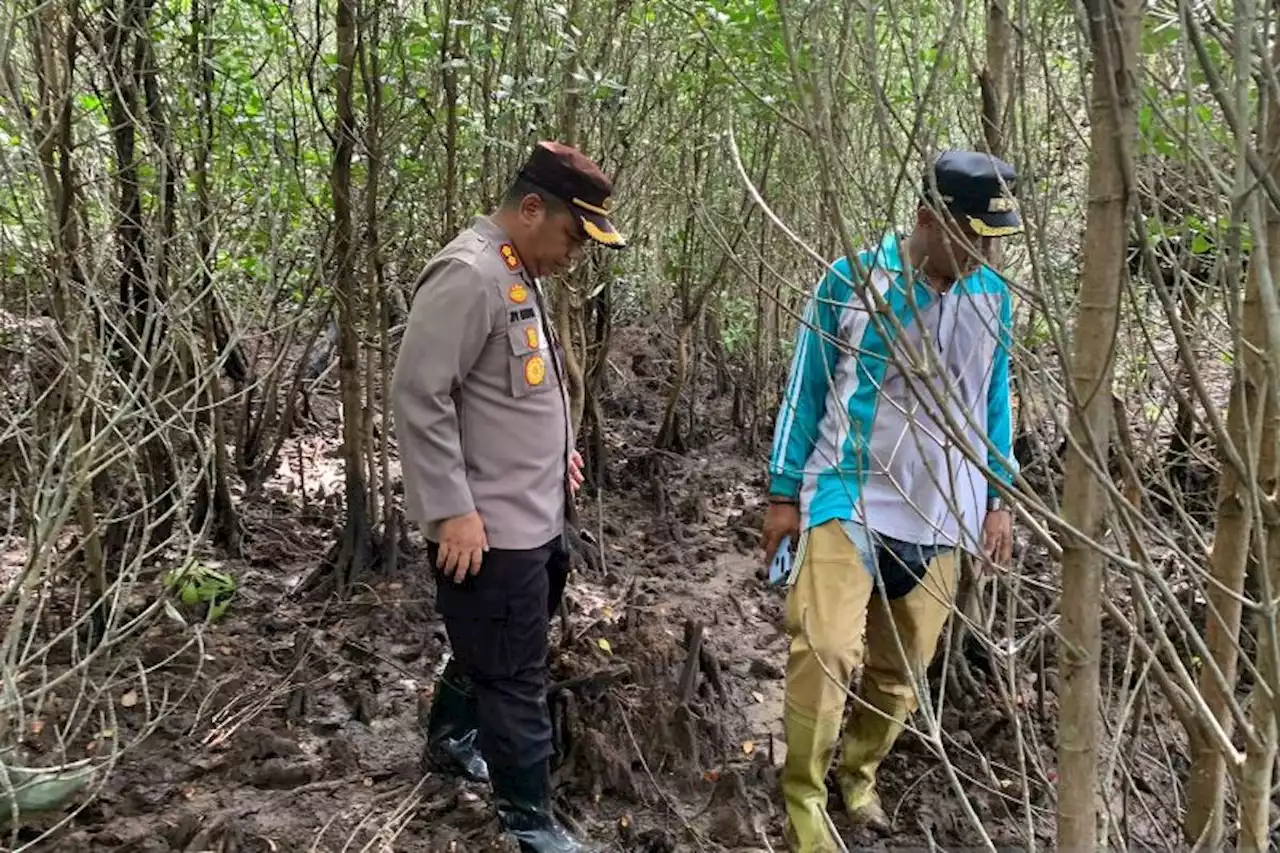 Warga Gorontalo Utara Hilang di Hutan Bakau, Kapolres Ikut Melakukan Pencarian