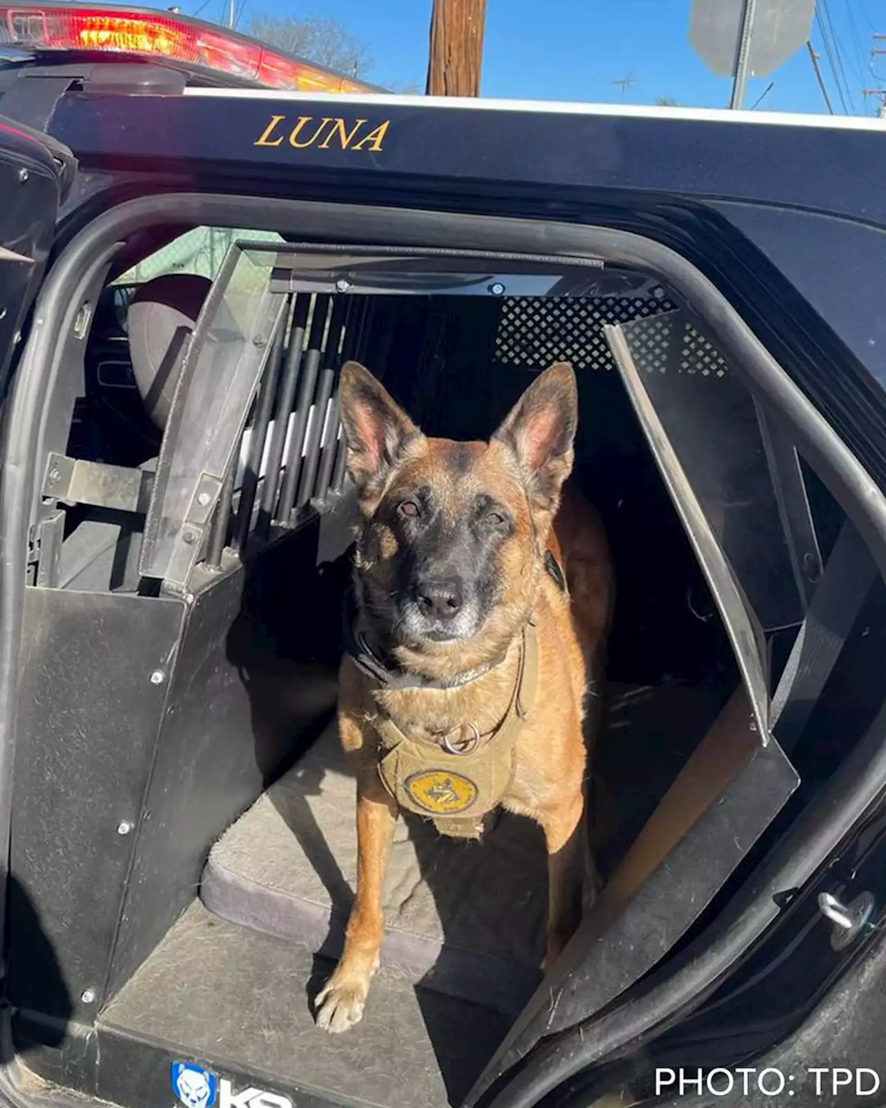 Tucson Police K9 assists with arrest