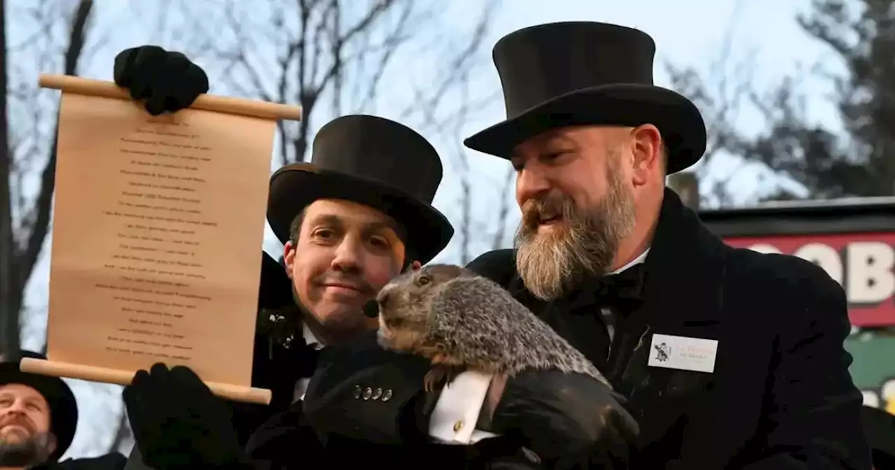 Insólito: una marmota pronosticó cuánto queda de invierno en Estados Unidos | Viral | La Voz del Interior