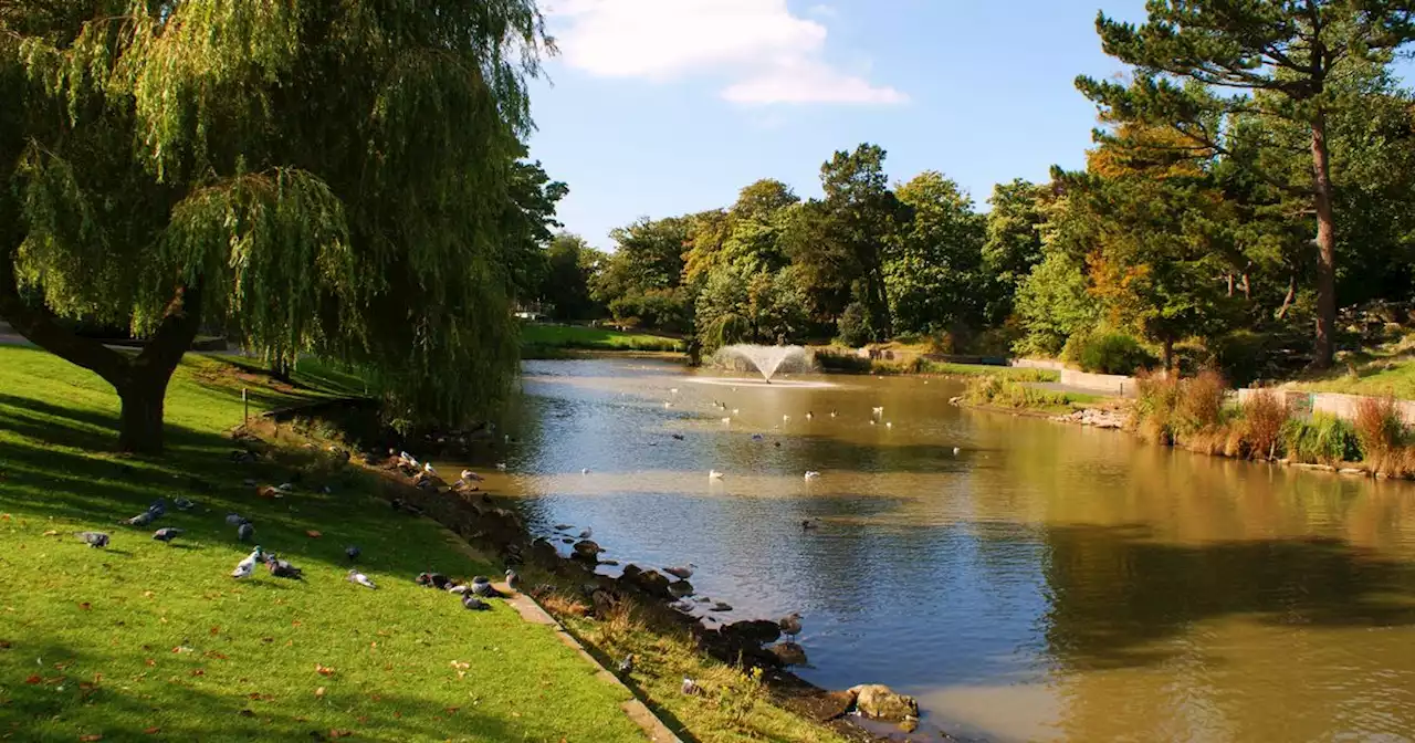 Remains of Preston girl, 12, found in tangled undergrowth of park