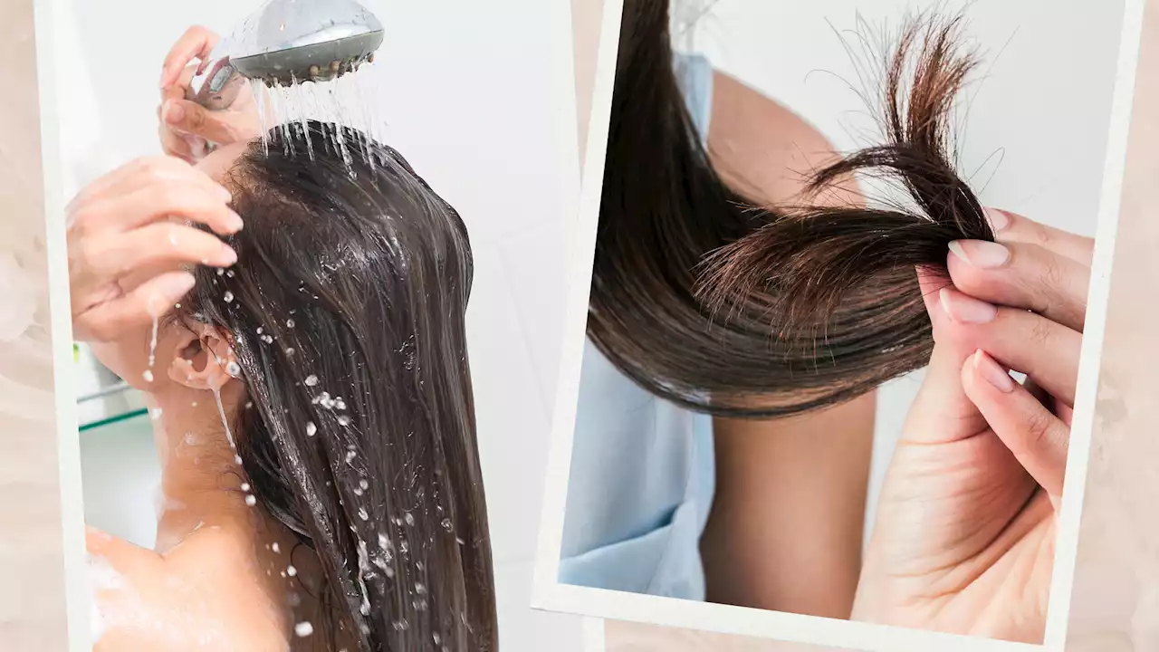 Comment limiter les dégâts de l’eau calcaire sur les cheveux ?