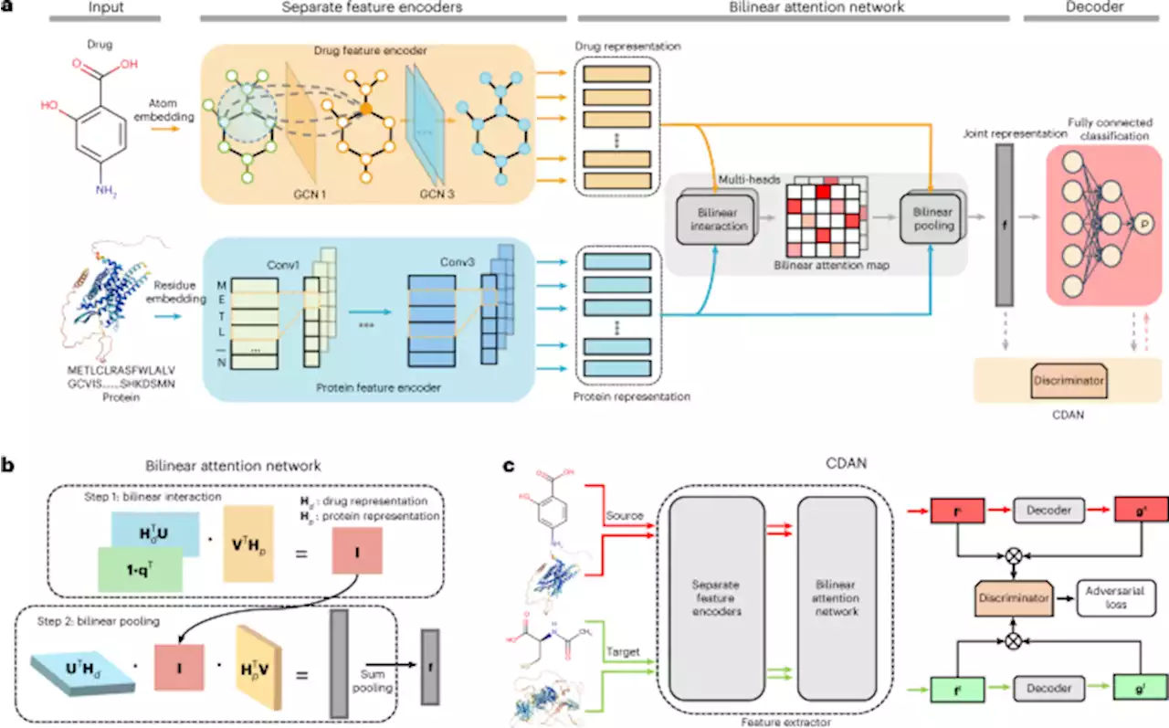 Interpretable bilinear attention network with domain adaptation improves drug–target prediction - Nature Machine Intelligence