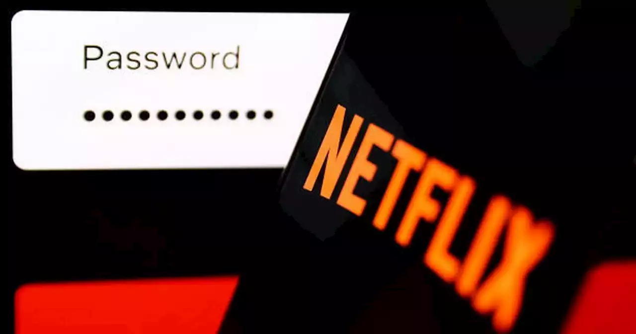 Netflix fans slam account sharing crackdown and say it will ‘lose more money’