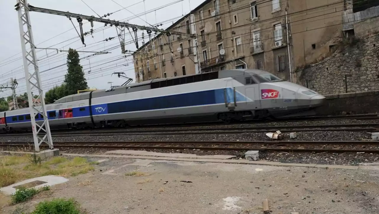 Menace d'attentat : un TGV immobilisé et un homme maîtrisé ce vendredi en Lorraine