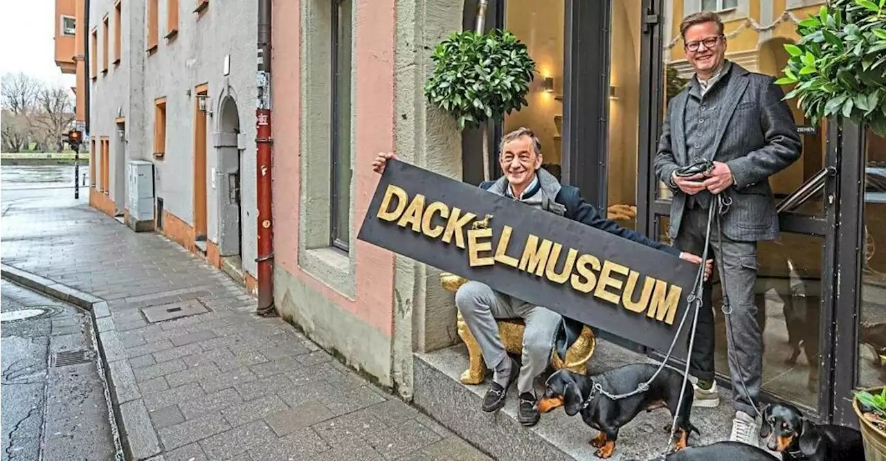 „Göttliche Fügung“: Dackelmuseum hat Domizil in Regensburg gefunden