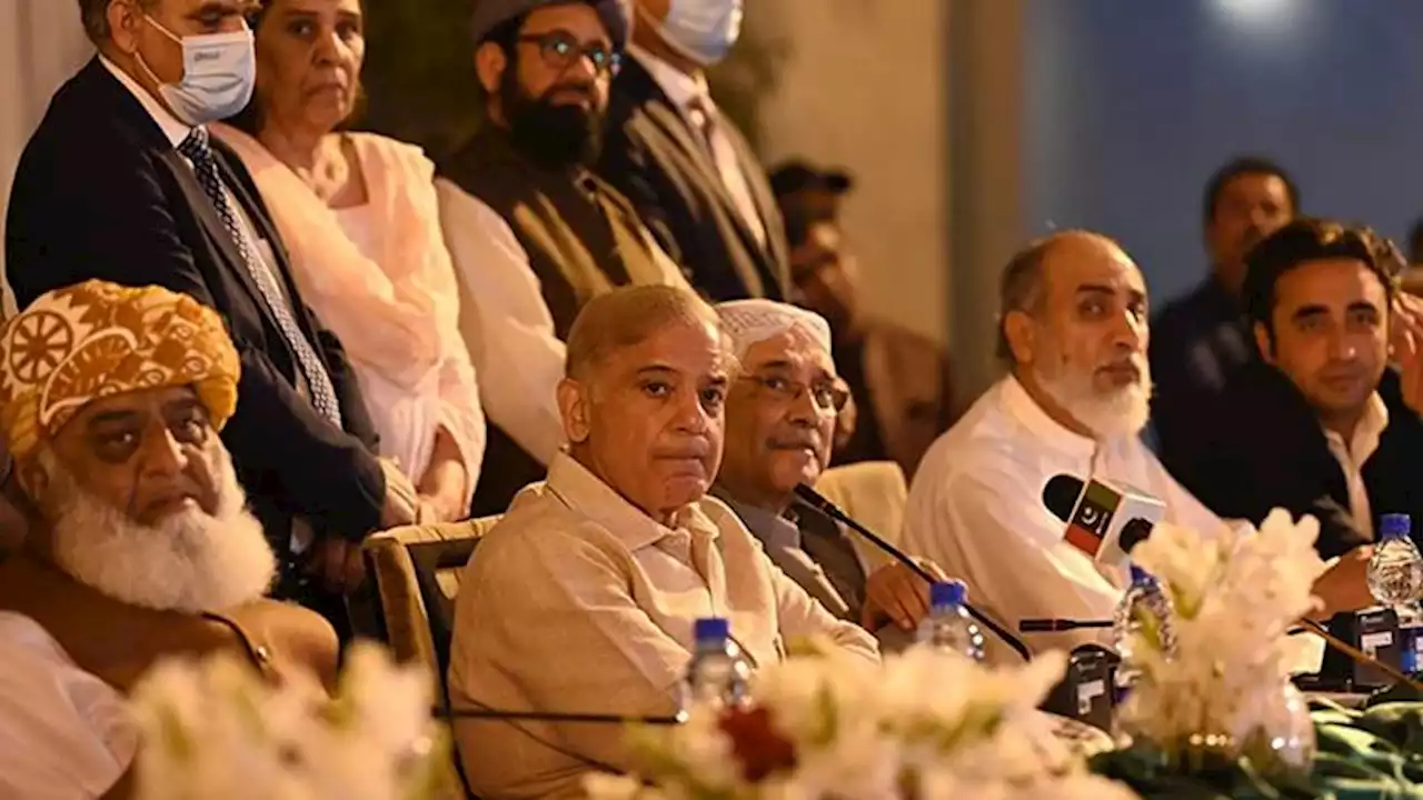 حکومتی اتحادی ضمنی انتخابات میں حصہ لینے کے خواہشمند