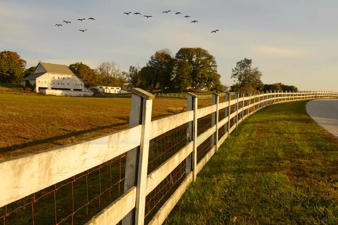 Longwood Gardens to Buy 505-Acre Delaware Estate