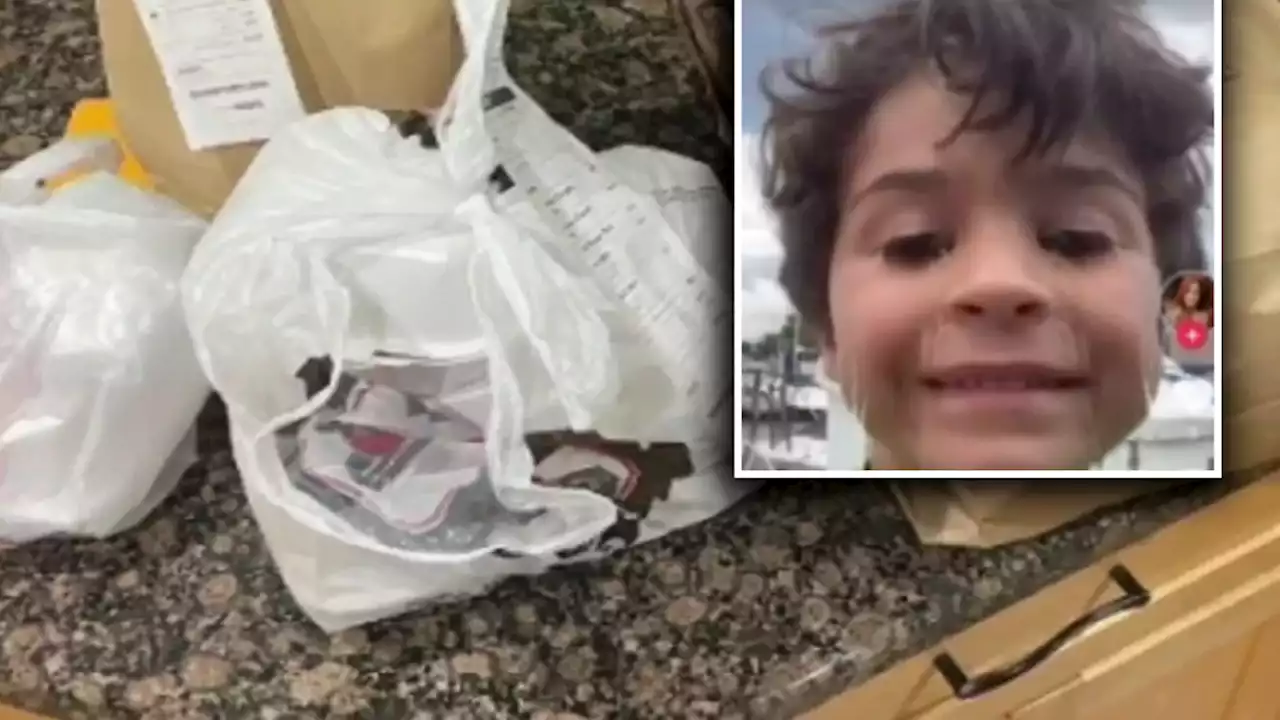 Time to Feast: 6-Year-Old Takes Dad's Phone, Goes on $1K Grub Hub Shopping Spree