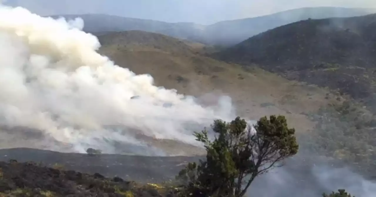 Incendio en el páramo de Las Alfombras, Boyacá, ha destruido más de 100 hectáreas