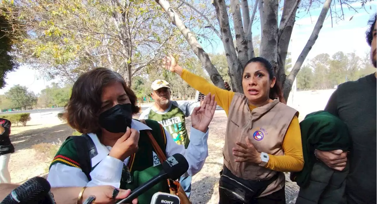 'Nenis' llegaron para quedarse: fuente de ingresos fuerte en Salamanca