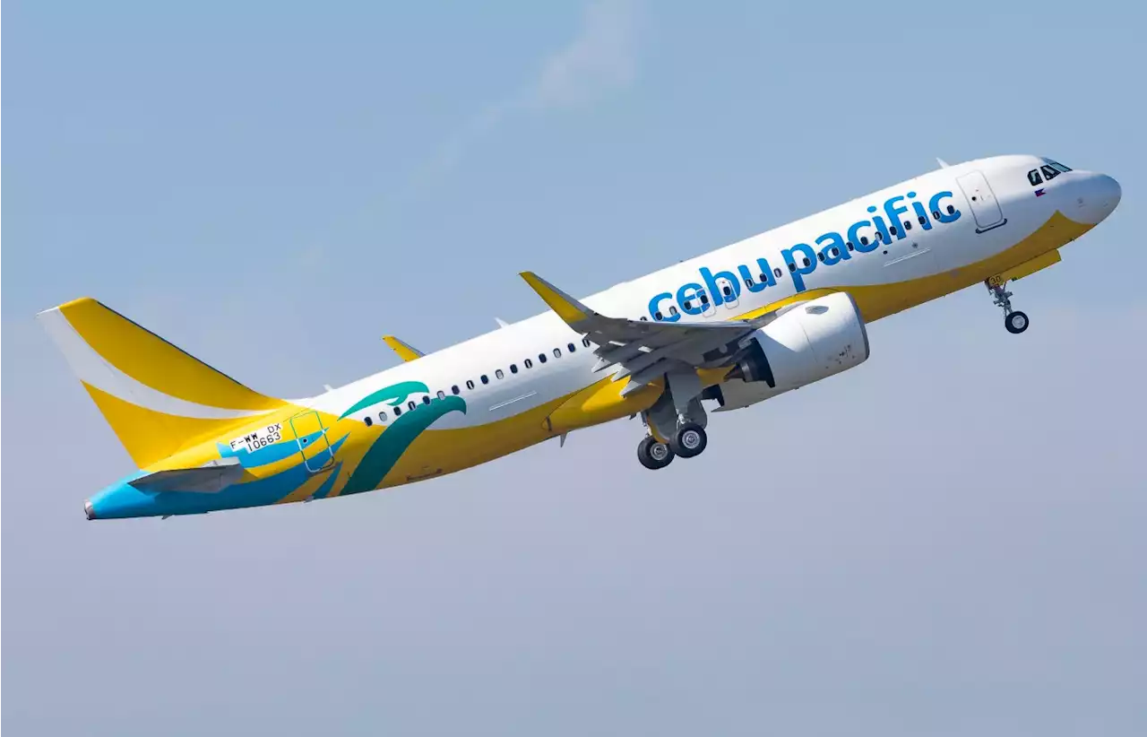 Cebu Pacific offers P88 base fare on select domestic flights until Feb. 7