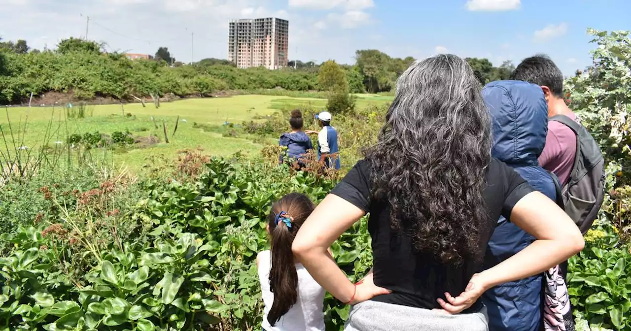 En el Día Mundial de los Humedales, Procuraduría advirtió a Sec. Ambiente resuelva sanciones retrasadas