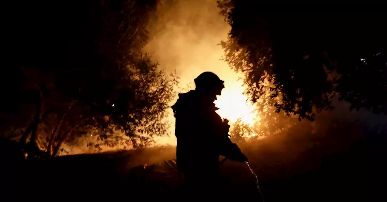 Chile wildfires consume over 750 hectares threatening forests, farmland