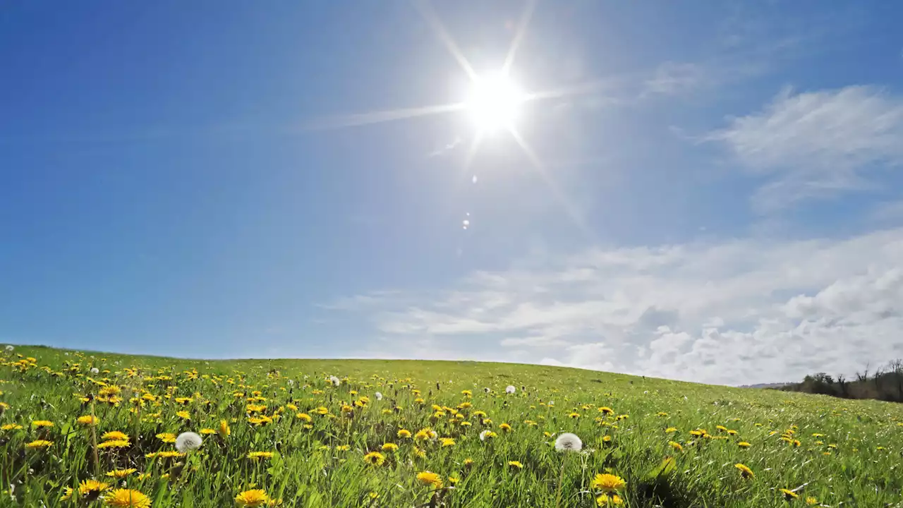 Tiempo este fin de semana: sol y temperaturas más templadas