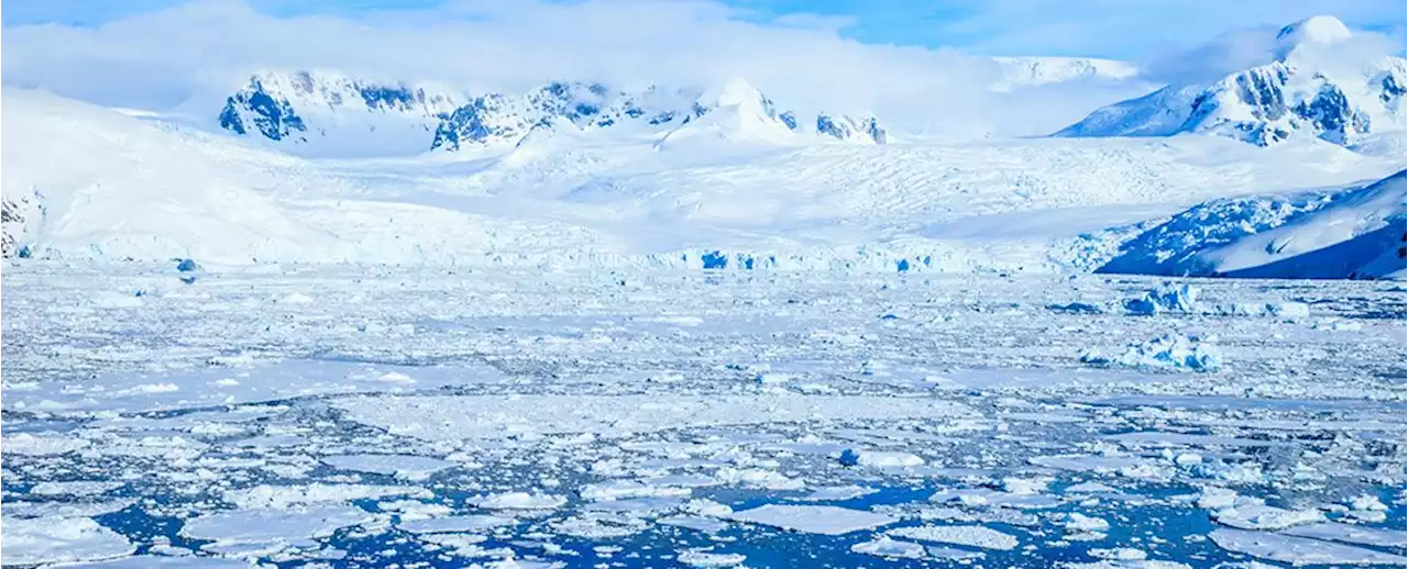 Māori Voyaged to Antarctica at Least 1,000 Years Before Europeans, Study Finds