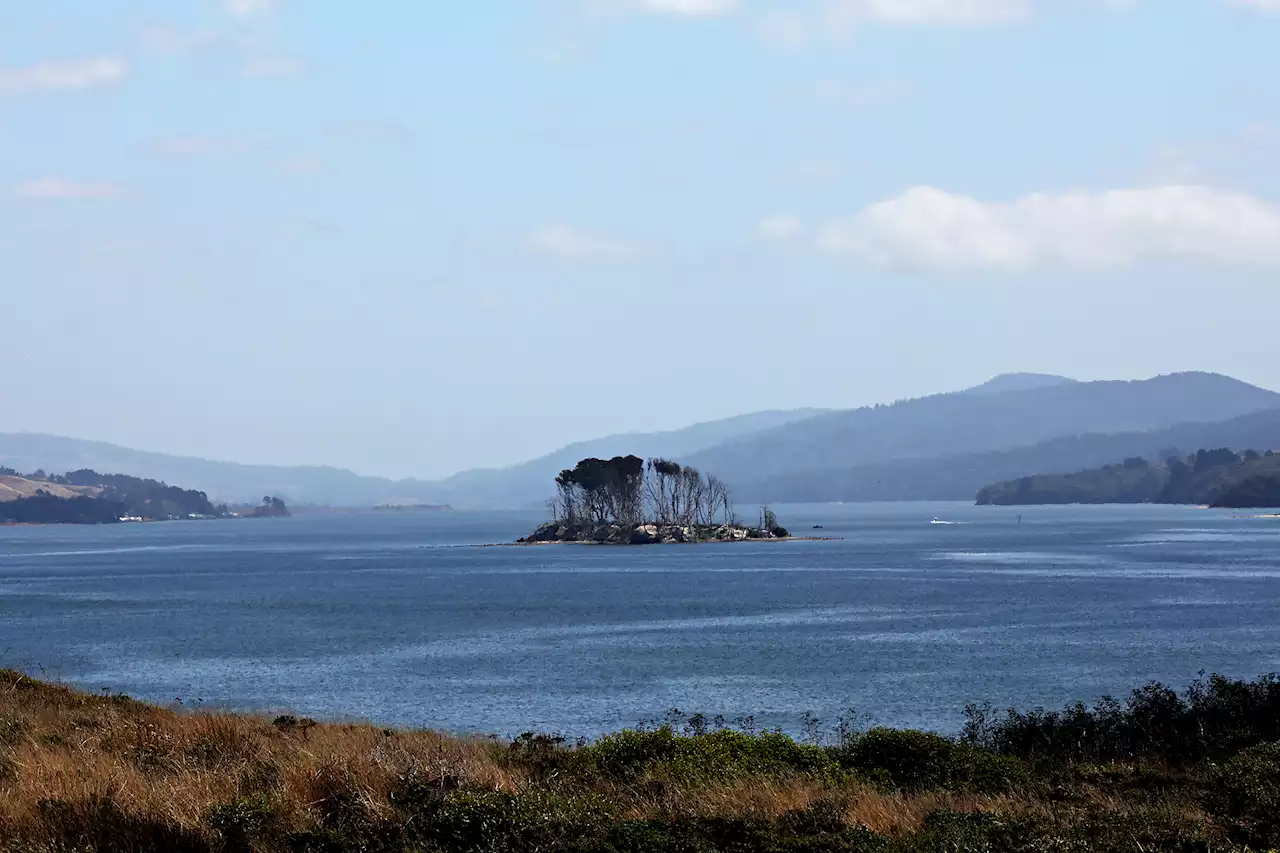 39-year-old kayaker who went missing on Tomales Bay found dead