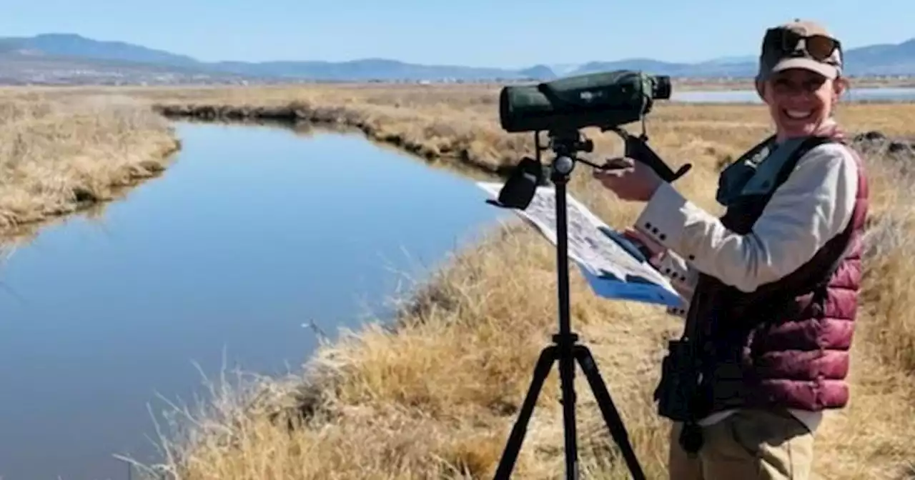 Janice H. Gardner: The day I learned Great Salt Lake is dying