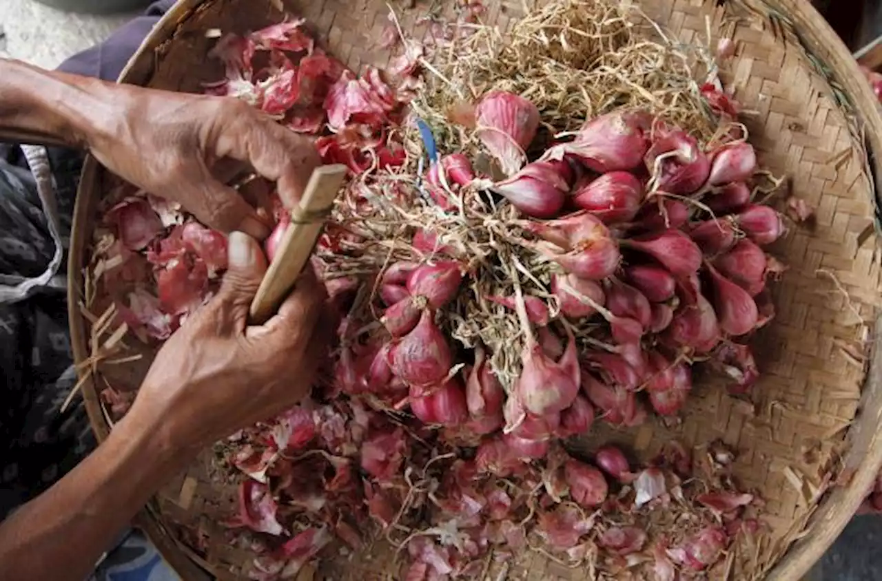 Harga Bawang Merah di Solo Naik Lagi Sepekan Ini, Nambah Rp3.000/Kg