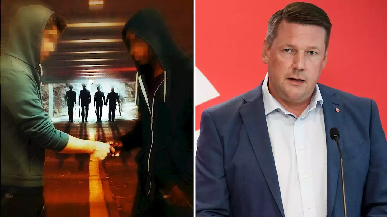 Baudin om turerna inom S i Botkyrka: ”Vi ska gå till botten med det” - Nyheter (Ekot)