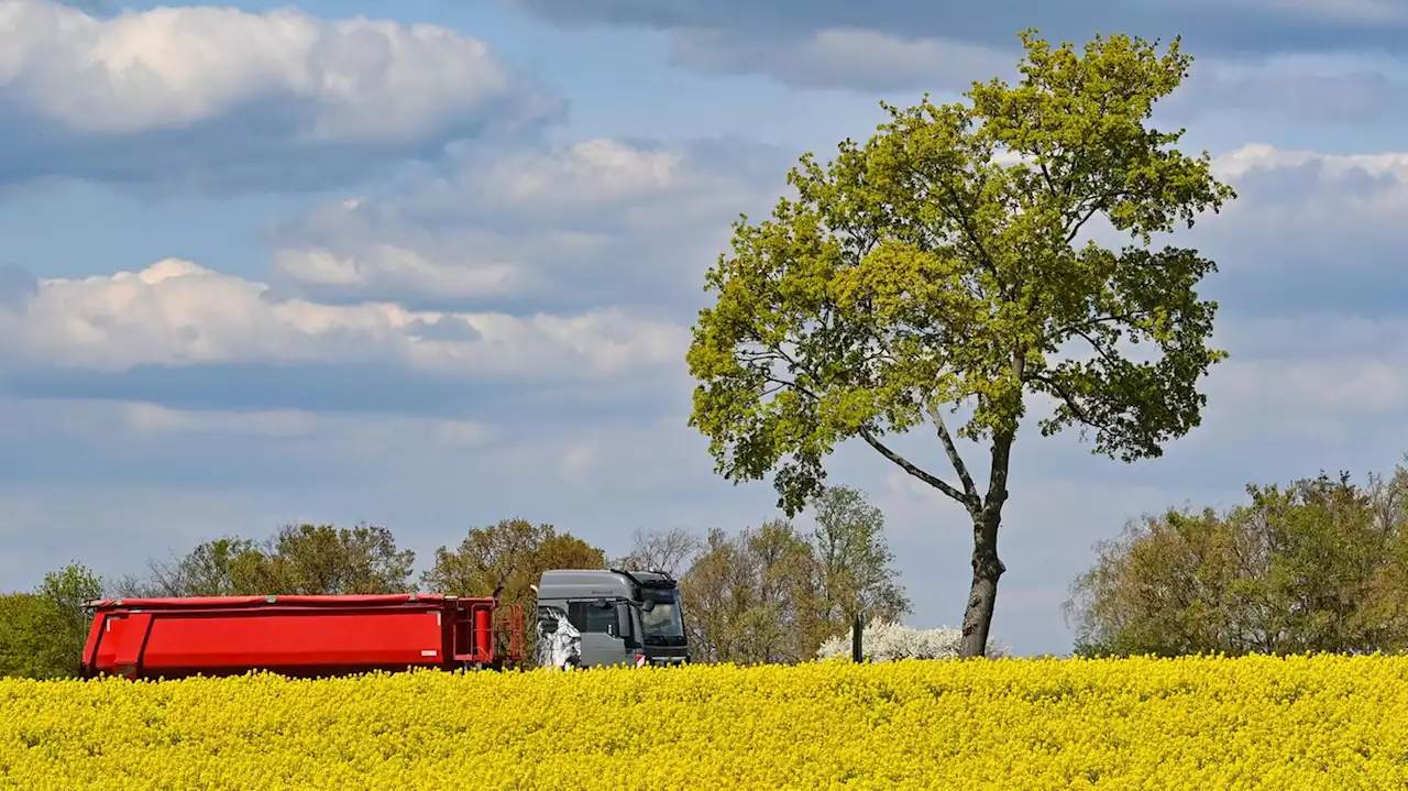 Klimaschutz und Wirtschaftswachstum? Warum beides zusammen (nicht) funktioniert