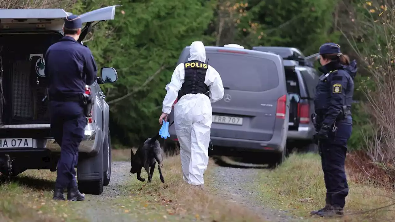 18-åringen medger att hon flyttat på Toves kropp