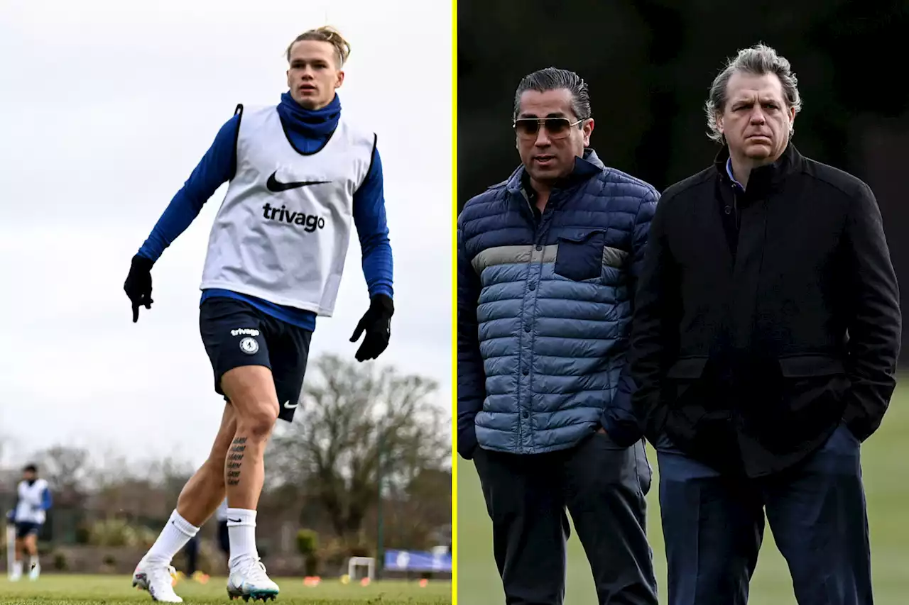 Chelsea co-owners watch Potter put stars through their paces at Cobham - but no Fernandez