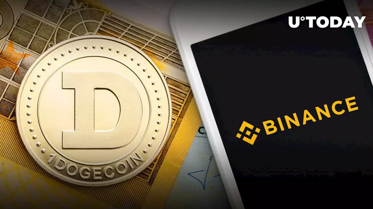 184 Million DOGE out of Binance, Dogecoin Price Acts Positively