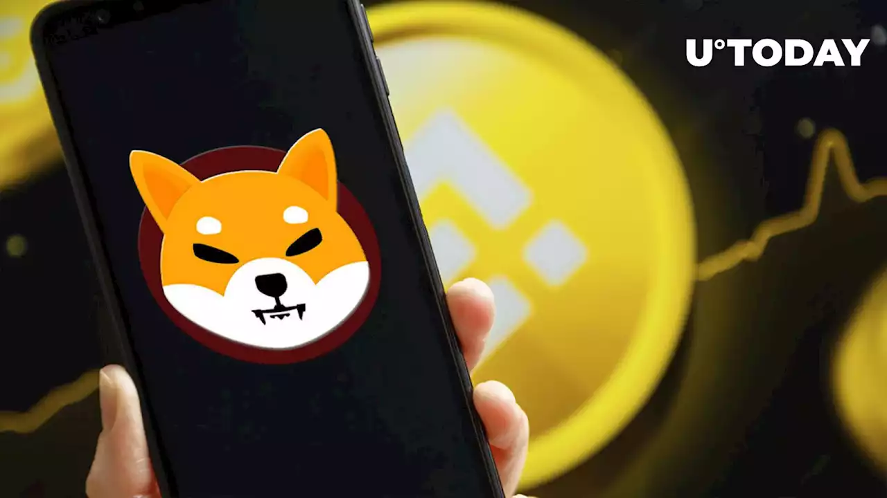 Whopping 6 Trillion Shiba Inu Transferred by Binance Exchange as SHIB Jumps 10%