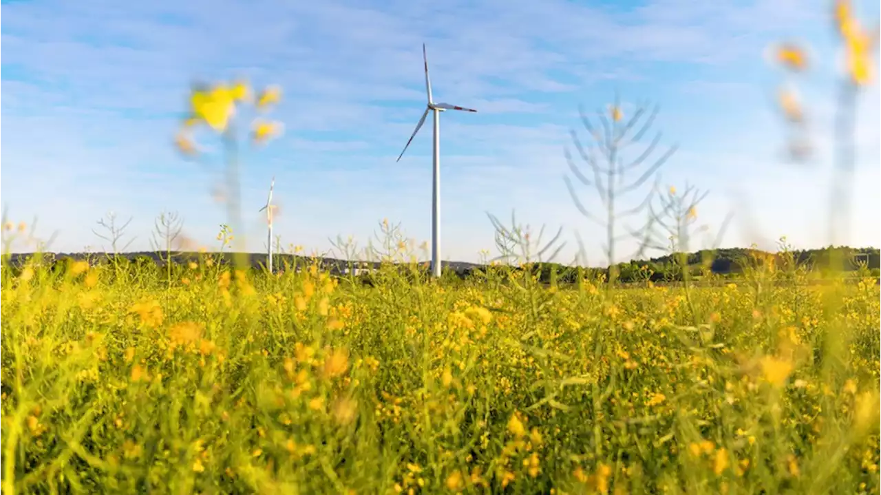 Gute Nachrichten: EU produziert erstmals mehr Strom aus Erneuerbaren als aus Gas